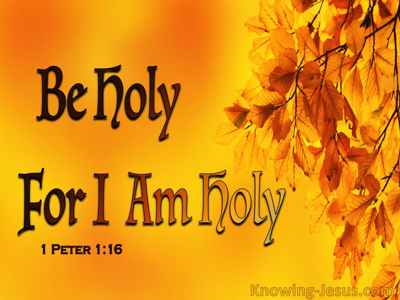 1 Peter 1:16 Be Holy For I Am Holy (orange)